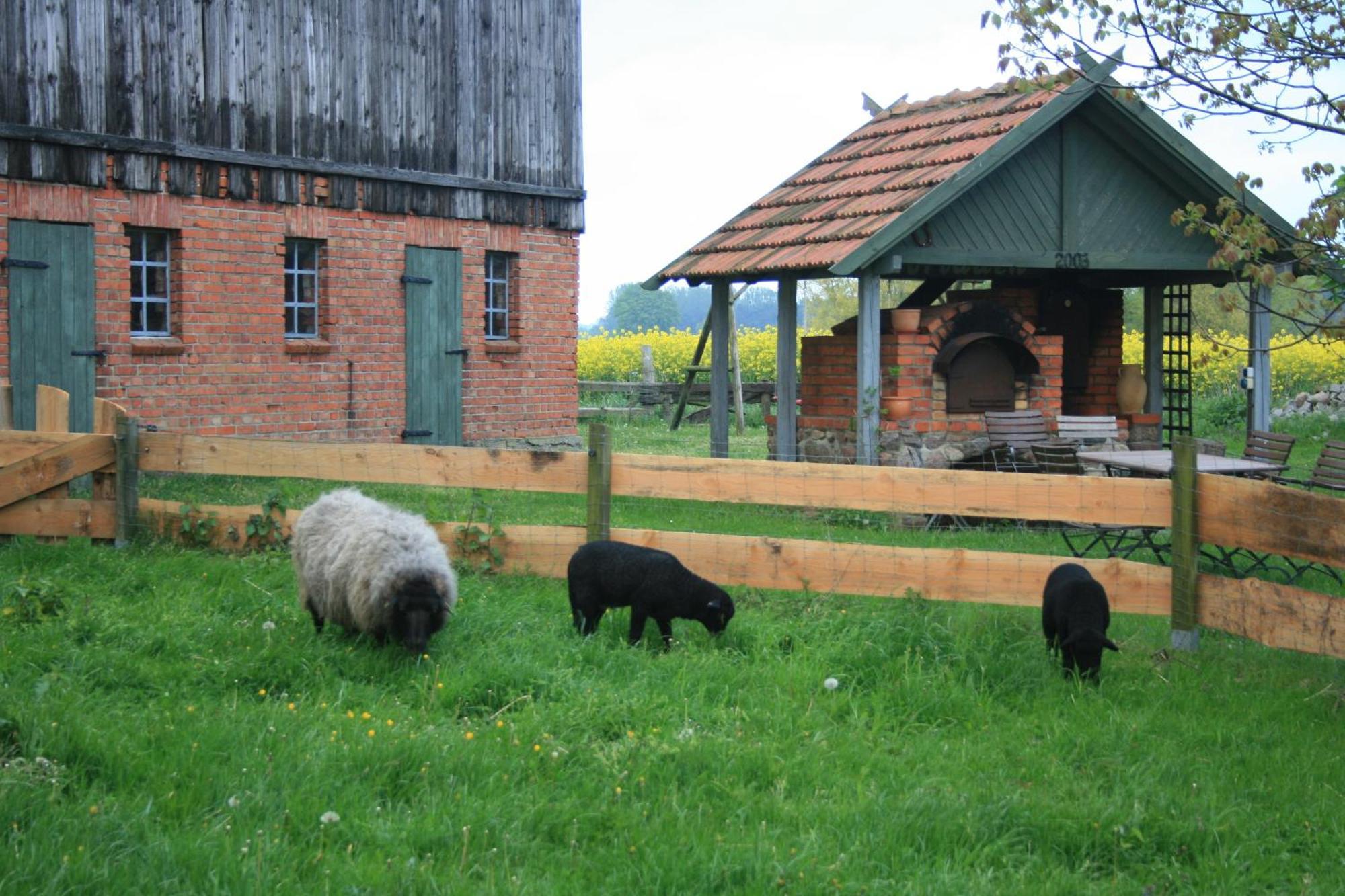 Ostseestuev Boiensdorf Szoba fotó
